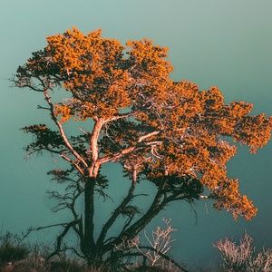 Meet your Posher, Teresa